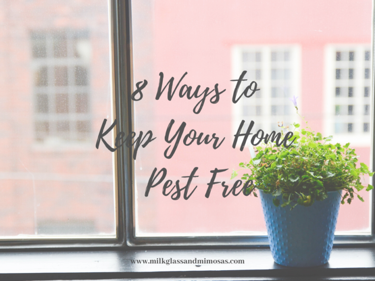 Keep your home pest free.