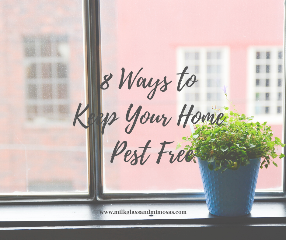 How to keep your home pest free. Rid your home of bugs and pests.