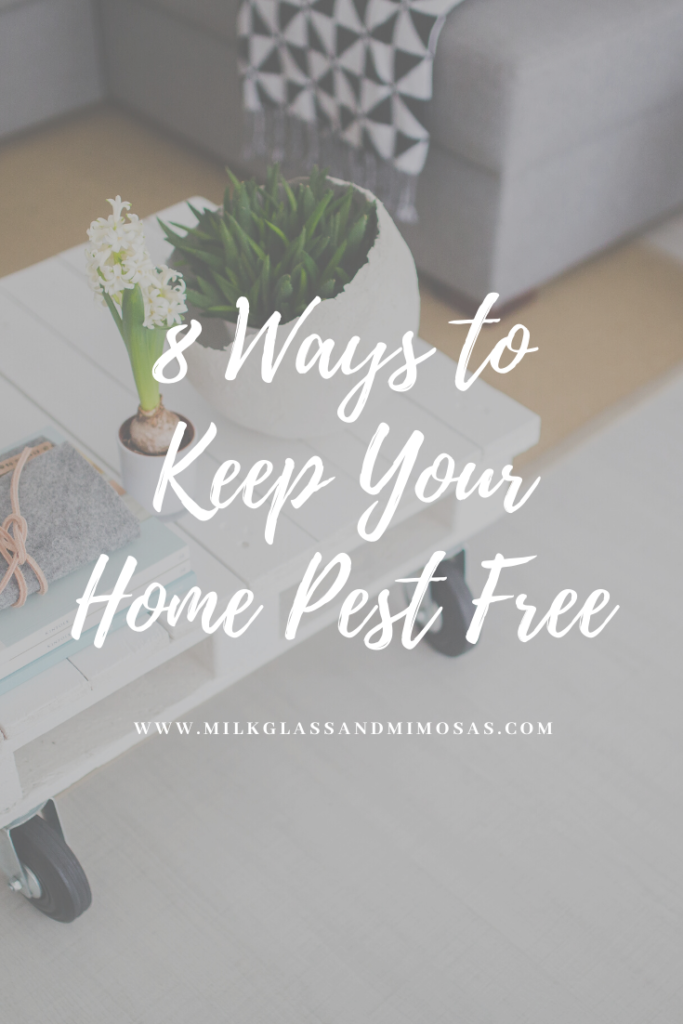Ways to keep your home pest free. 