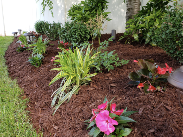 home landscaping ideas border garden